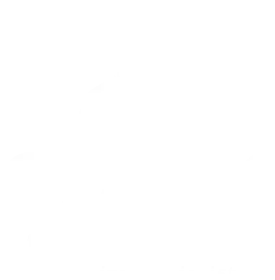 Steak Industry